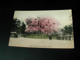 Japan Old Postcard :cherry Blossoms At Gion,  Kyoto,