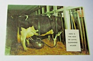 Nos Vintage De Laval Suspended Milker Advertising Postcard Farm Dairy Animal Cow