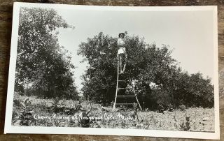 Rppc Real Photo Postcard Vintage Cherry Picking Traverse City Michigan Mi Ladder