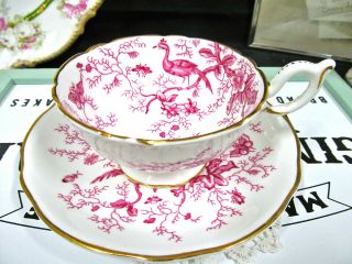 Coalport Tea Cup And Saucer Bird And Flowers Cairo Bird Teacup England