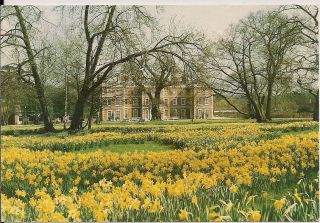 Scarce Old Postcard - Trent Park - Enfield - London Middlesex C.  1987
