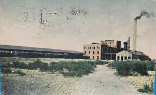 Vintage Postcard Of Phoenix,  Arizona - Beet Plant - Posted 1908