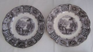 2 Antique Holdcroft & Co PERU Black Mulberry Transferware Plates Stafordshire 3
