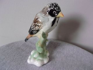 Antique Karl Ens Porcelain Bird Figurine,  Germany