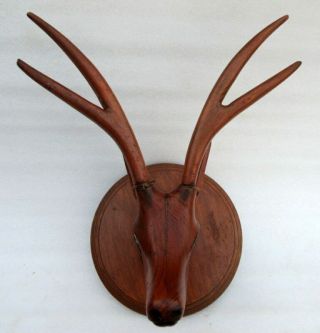 Vintage Old Wooden Hand Carved Wall Decor Deer Head Figure Rare Mask Sculpture