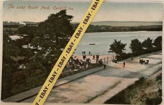 Old Postcard,  The Lake,  Roath Park,  Cardiff