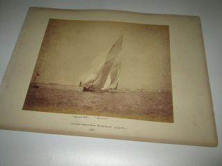 Racing Yacht Collision Off Southsea 1885 Queen Mae & Ulerin Antique Photograph