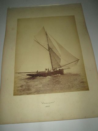 The Racing Yacht Annasona Off Southsea 1886 Antique Photograph