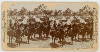 Spanish American War Camp Tampa Troop F 3rd U S Cavalry Stereoview 21553