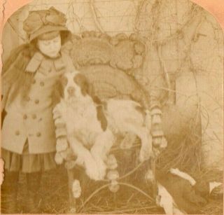 1882 Little Girl With Her Dog Jack.  B.  W.  Kilburn Stereoview Photo