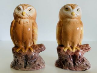Vintage Ceramic Owl Salt And Pepper Shakers