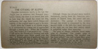 Keystone Stereoview Camels at Citadel of Aleppo,  Syria Rare 1200 Card Set 740 2
