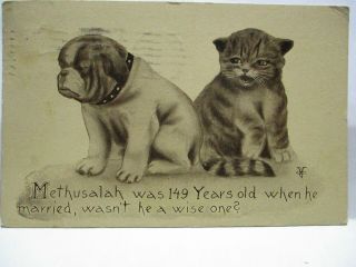 1911 Postcard Dog & Cat,  Methusalah Was 149 Yrs Old When Married,  He A Wise One