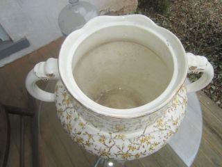 Antique Victorian Chamber Pot with two Dragon handles No Lid - Planter 3