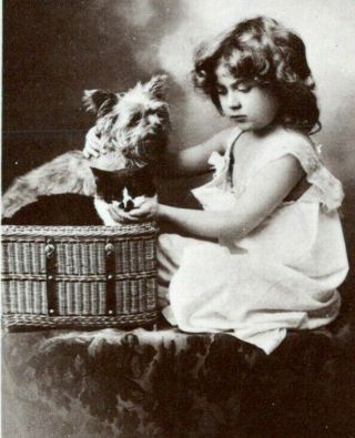1907 Little Girl Feeding Kitten And Puppy Dog Cat Rppc Real Photo Postcard Hx