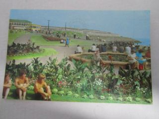 Wales Barry Island Goldfish Pond Old Postcard