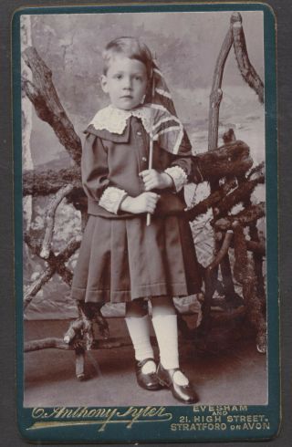 Cdv3902 Victorian Carte De Visite: Boy In Dress With Flag,  Tyler,  Evesham