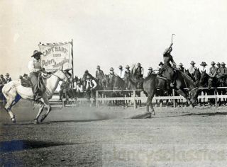 1910 Cheyenne Wyoming Frontier Days Rodeo Cowgirl Cowboys Cowgirls Trick Horse