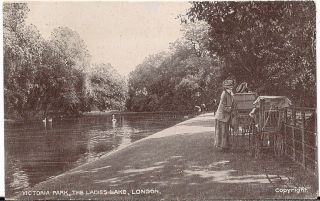 Lovely Rare Old Postcard - The Ladies Lake - Victoria Park - London 1907