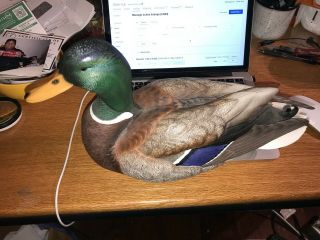 Loon Lake Over Sized Mallard Drake Decoy Numbered And Signed
