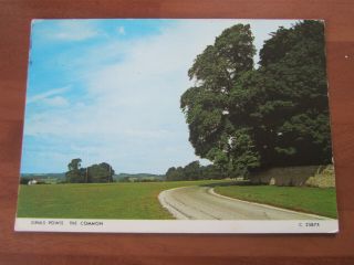 Wales Dinas Powis The Common Old Postcard