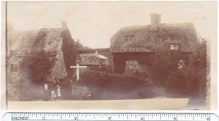 Photo C1905 Isle Of Wight Thatched Cottages Between Ventnor And Whitwell Chale