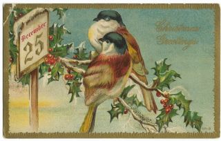 Postcard - Vintage Christmas Embossed - Birds On Holly Branch - Sign December 25