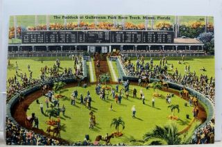 Florida Fl Miami Gulfstream Park Race Track Paddock Postcard Old Vintage Card Pc