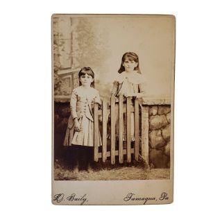 Antique 1900s Cabinet Card - Two Young Sisters By Gate - D.  Baily - Tamaqua,  Pa