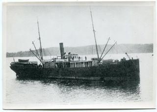 Photo 7 X 5 " Steamer Elihu Thompson Gold Rush And Nome Alaska Trader Boat J43
