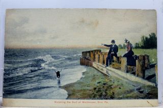Pennsylvania Pa Erie Waldemeer Surf Postcard Old Vintage Card View Standard Post