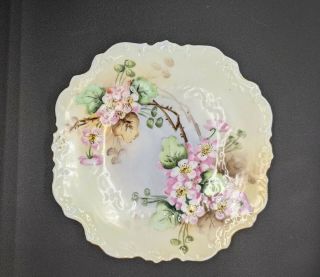 Antique 1905 Hand Painted Porcelain Plate Signed Flowers