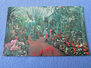 Wales Rhyl Floral Hall Interior Rare Glimpse Old Postcard