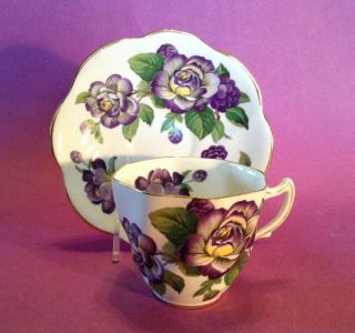 Rosina Teacup And Saucer - Scalloped Rims - Purple Roses - Bone China - England