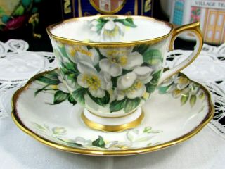 Royal Albert Orange Blossom Sponged Gold Gilt Tea Cup And Saucer
