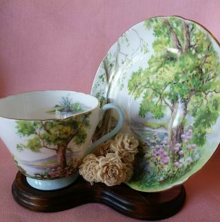 Vintage Shelley Woodland Bone China Tea Cup & Saucer England