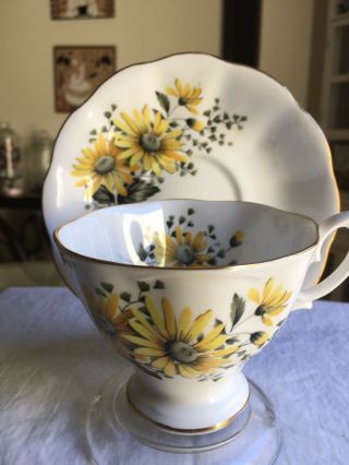 Vintage Teacup And Saucer Royal Albert Hand Painted Daisy (rare) 1980s