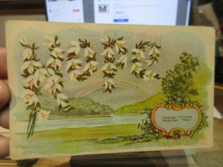 Victorian Era Ohio Old Antique Postcard Millersburg Language Of Flowers Snowdrop