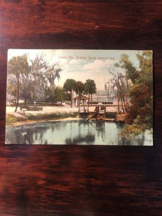 Tampa,  Fl Sulphur Springs General View Postcard Vintage 1911