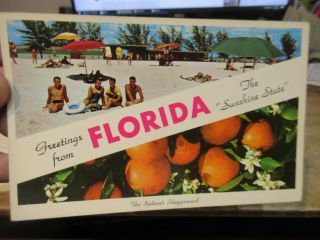 Vintage Old Postcard Florida Greetings From Sunshine State Orange Blossoms Beach