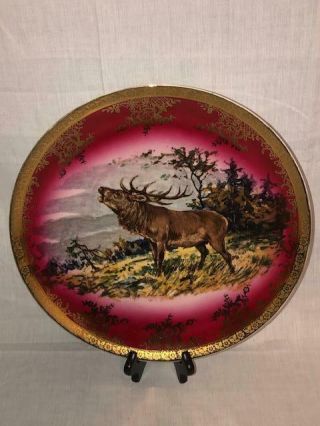 Antique Royal Vienna Stw Bavaria Germany Bee Hive Mark Elk Charger Hand Painted