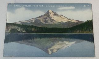 Vintage Postcard Mt Hood,  Oregon 11225 Feet On Line Of D.  W.  R.  & N.  Co.