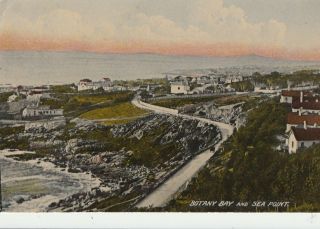 R African Old Picture Postcard South Africa Collecting Botany Bay And Sea Point