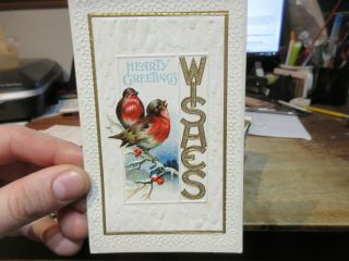 Victorian Era Ohio Old Antique Postcard Millersburg Red Breasted Robin Birds Icy