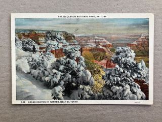 Grand Canyon Park In Winter - - Near El Tovar - - Vintage Linen Postcard - - C3