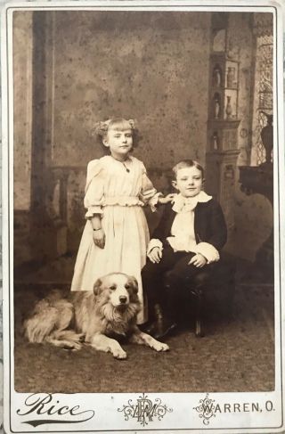 Antique Cabinet Photo 6 1/2” X 4 1/4 A Children With Their Pet Dog.