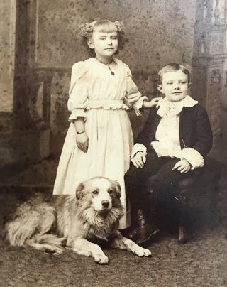 Antique Cabinet photo 6 1/2” x 4 1/4 A children with their pet dog. 2