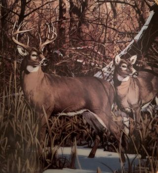 “DOWNWIND ALERT” Plate - Friends of the Forest - Bruce Miller - Deer - Buck/Doe - Danbury 3