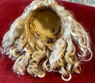 Antique 10” Mohair Wig for Antique French Or German Bisque Doll 2