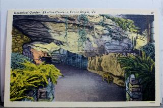 Virginia Va Front Royal Skyline Caverns Botanical Garden Postcard Old Vintage Pc
